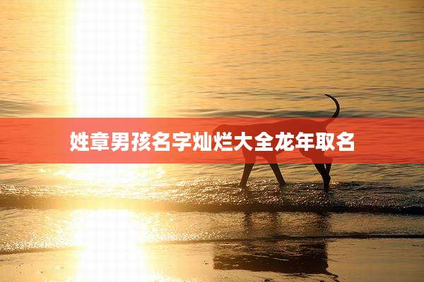 姓章男孩名字灿烂大全龙年取名