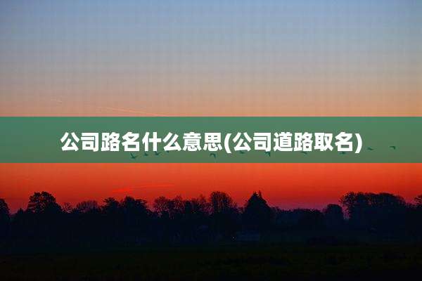 公司路名什么意思(公司道路取名)