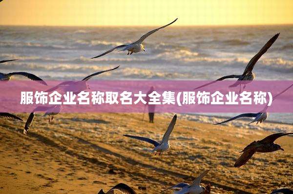 服饰企业名称取名大全集(服饰企业名称)