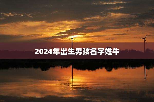 2024年出生男孩名字姓牛