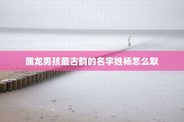 属龙男孩最古韵的名字姓杨怎么取