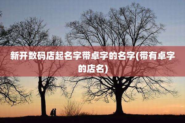 新开数码店起名字带卓字的名字(带有卓字的店名)