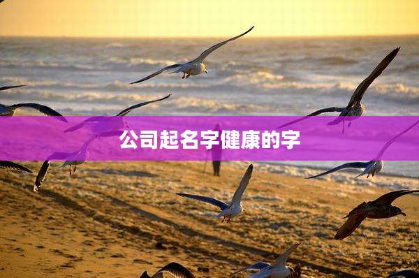 公司起名字健康的字