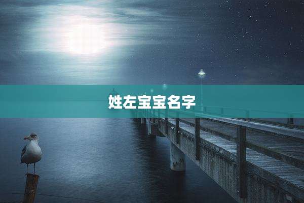 姓左宝宝名字