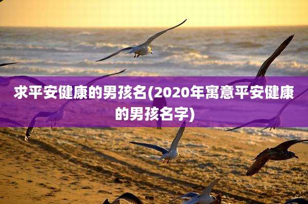 求平安健康的男孩名(2020年寓意平安健康的男孩名字)