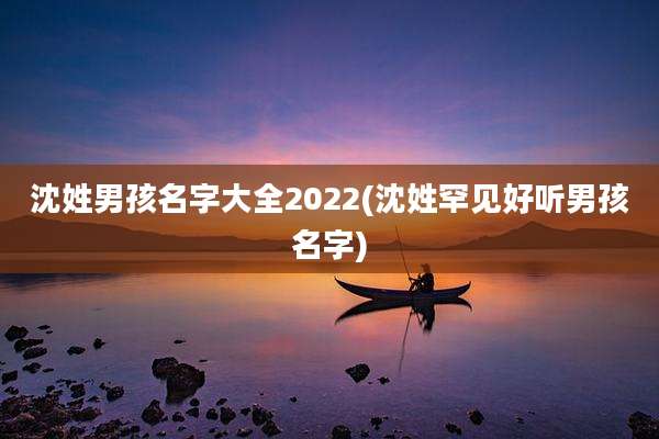沈姓男孩名字大全2022(沈姓罕见好听男孩名字)