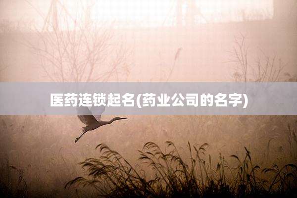 医药连锁起名(药业公司的名字)