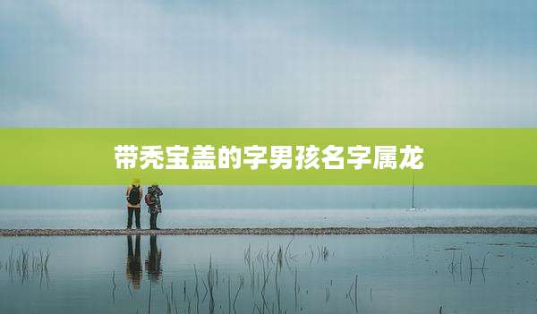 带秃宝盖的字男孩名字属龙