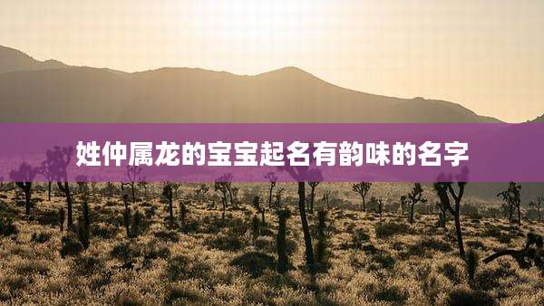 姓仲属龙的宝宝起名有韵味的名字