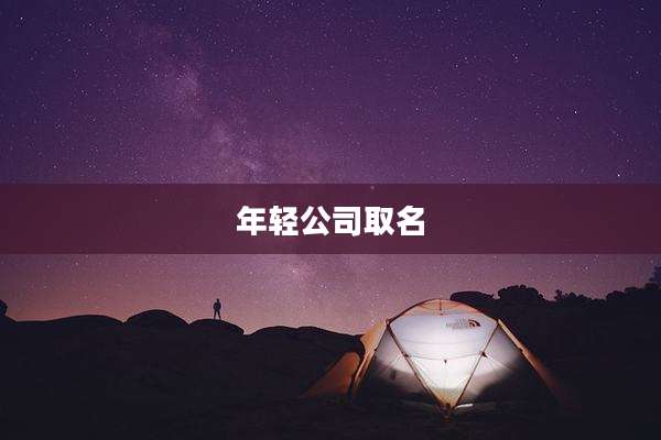 年轻公司取名