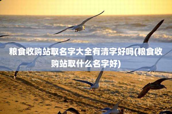 粮食收购站取名字大全有清字好吗(粮食收购站取什么名字好)