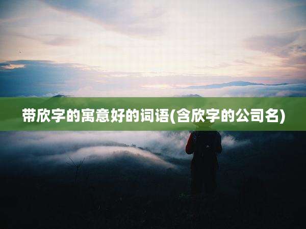 带欣字的寓意好的词语(含欣字的公司名)