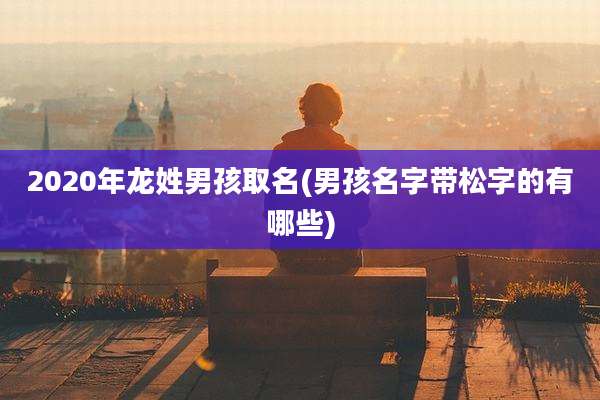 2020年龙姓男孩取名(男孩名字带松字的有哪些)