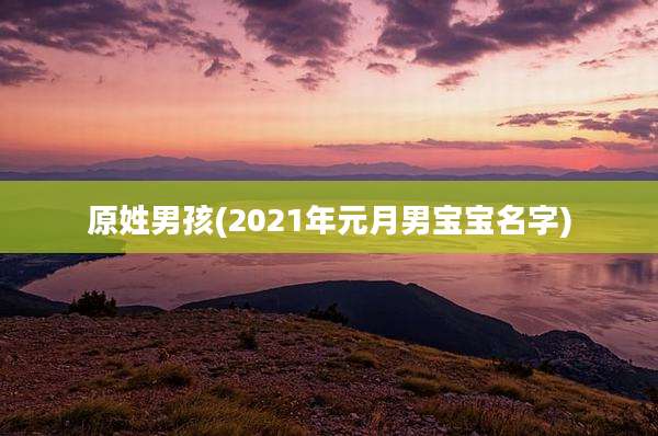 原姓男孩(2021年元月男宝宝名字)