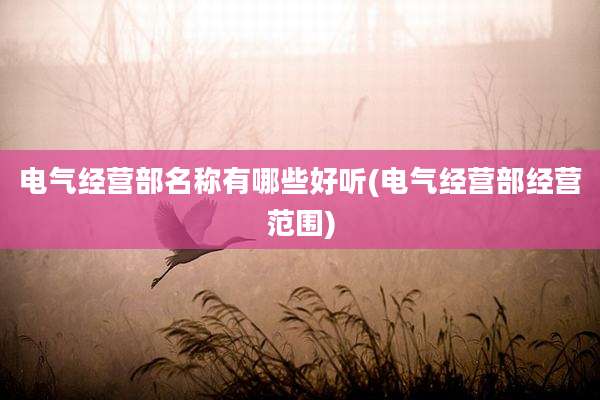 电气经营部名称有哪些好听(电气经营部经营范围)