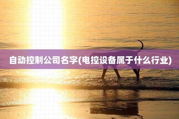 自动控制公司名字(电控设备属于什么行业)