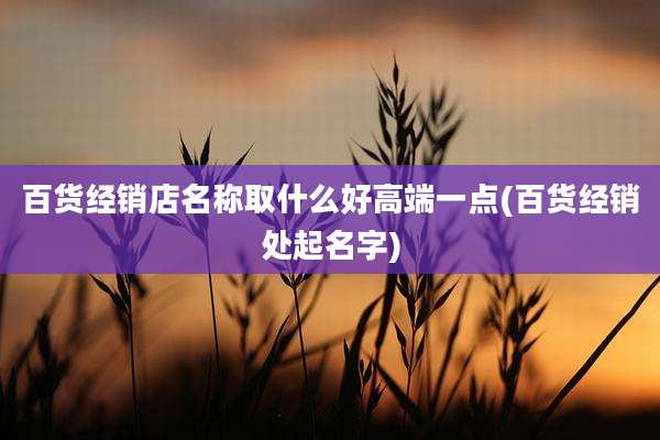 百货经销店名称取什么好高端一点(百货经销处起名字)