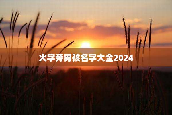火字旁男孩名字大全2024