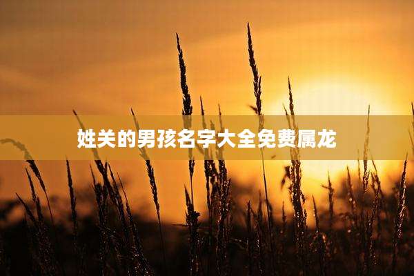 姓关的男孩名字大全免费属龙