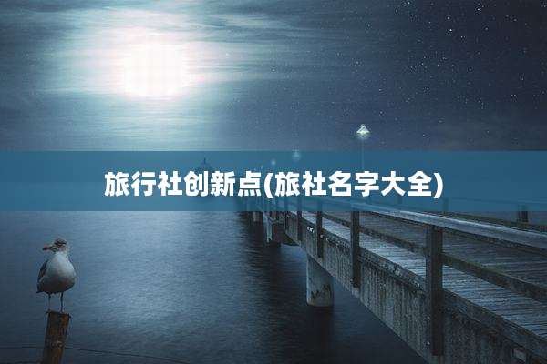 旅行社创新点(旅社名字大全)
