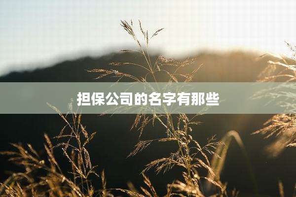 担保公司的名字有那些