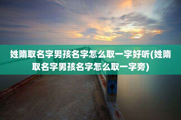 姓隋取名字男孩名字怎么取一字好听(姓隋取名字男孩名字怎么取一字旁)