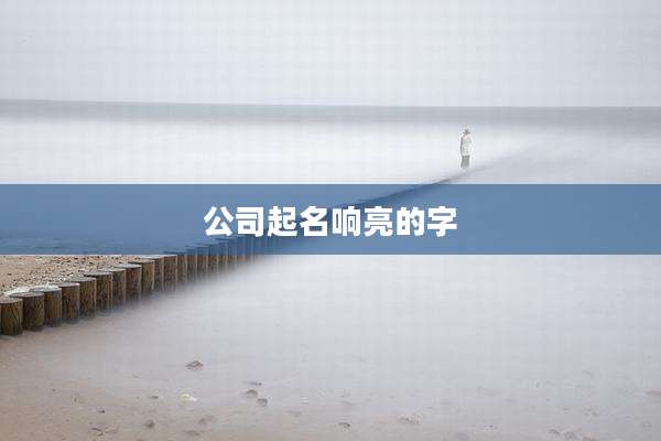 公司起名响亮的字