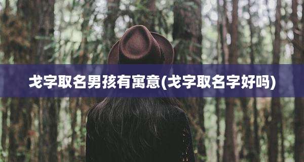 戈字取名男孩有寓意(戈字取名字好吗)