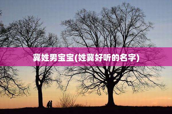 冀姓男宝宝(姓冀好听的名字)