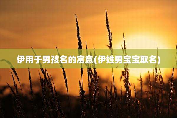 伊用于男孩名的寓意(伊姓男宝宝取名)