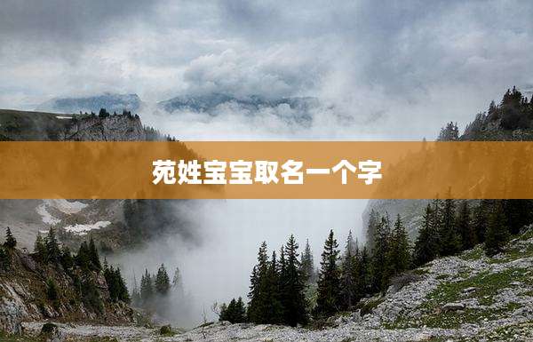 苑姓宝宝取名一个字