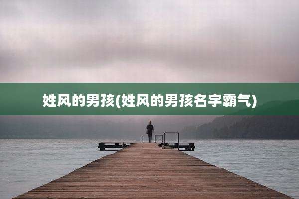 姓风的男孩(姓风的男孩名字霸气)