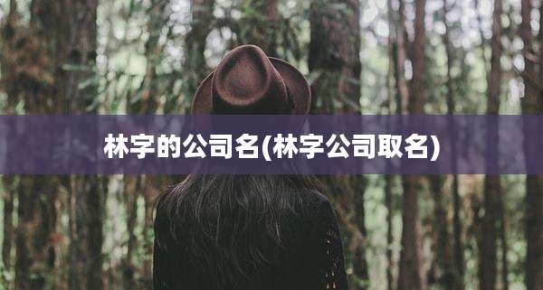 林字的公司名(林字公司取名)