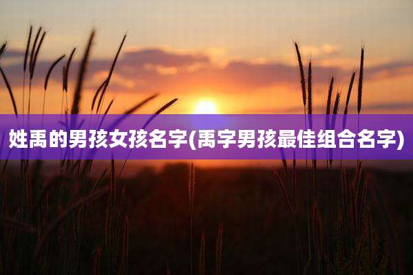 姓禹的男孩女孩名字(禹字男孩最佳组合名字)