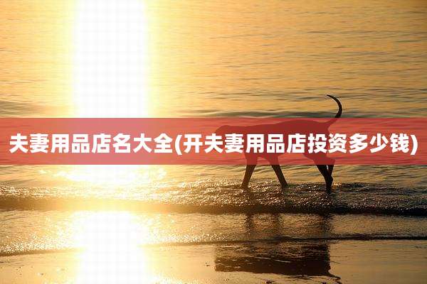 夫妻用品店名大全(开夫妻用品店投资多少钱)