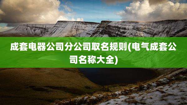 成套电器公司分公司取名规则(电气成套公司名称大全)
