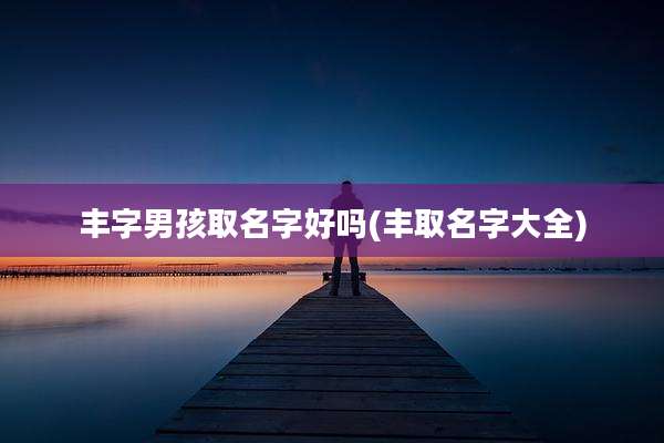 丰字男孩取名字好吗(丰取名字大全)