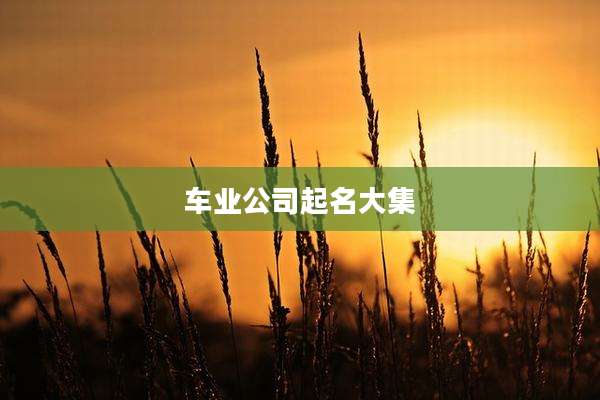 车业公司起名大集
