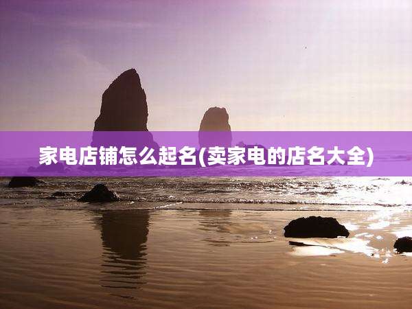 家电店铺怎么起名(卖家电的店名大全)