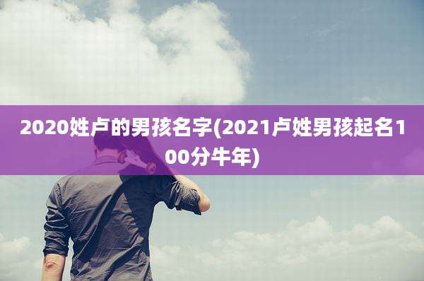2020姓卢的男孩名字(2021卢姓男孩起名100分牛年)