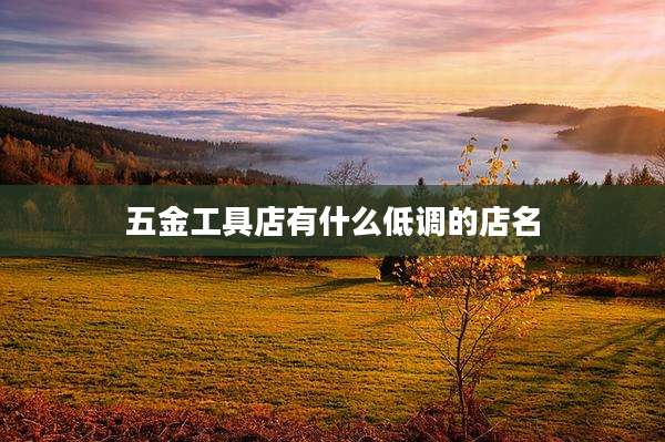 五金工具店有什么低调的店名
