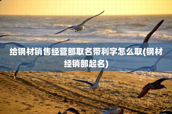 给钢材销售经营部取名带利字怎么取(钢材经销部起名)