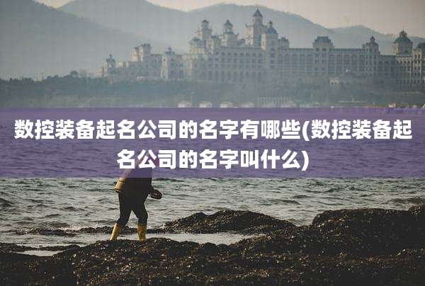 数控装备起名公司的名字有哪些(数控装备起名公司的名字叫什么)