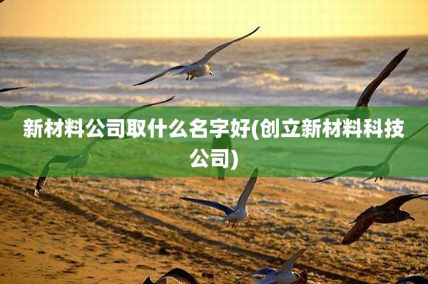 新材料公司取什么名字好(创立新材料科技公司)