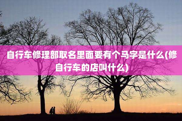 自行车修理部取名里面要有个马字是什么(修自行车的店叫什么)