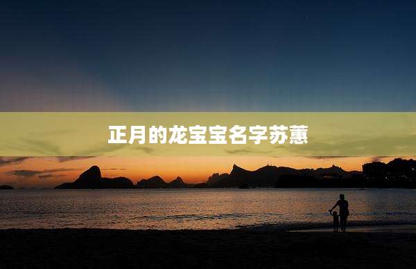 正月的龙宝宝名字苏蕙