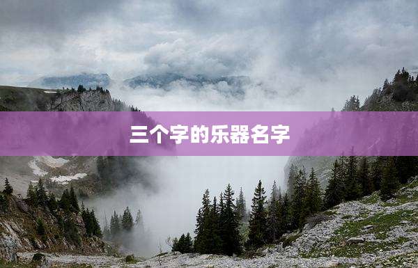 三个字的乐器名字