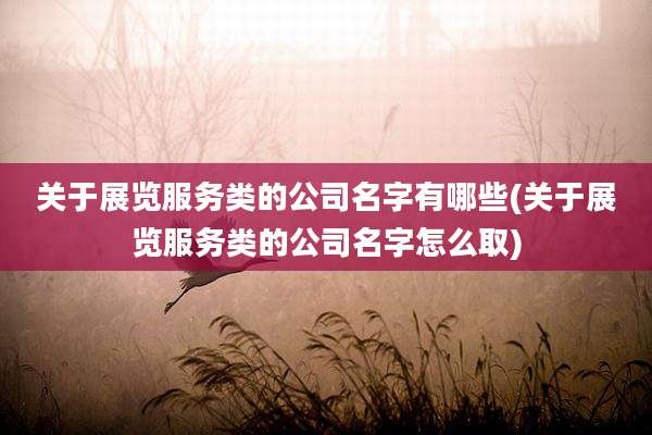 关于展览服务类的公司名字有哪些(关于展览服务类的公司名字怎么取)