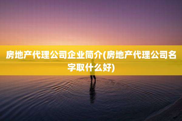 房地产代理公司企业简介(房地产代理公司名字取什么好)