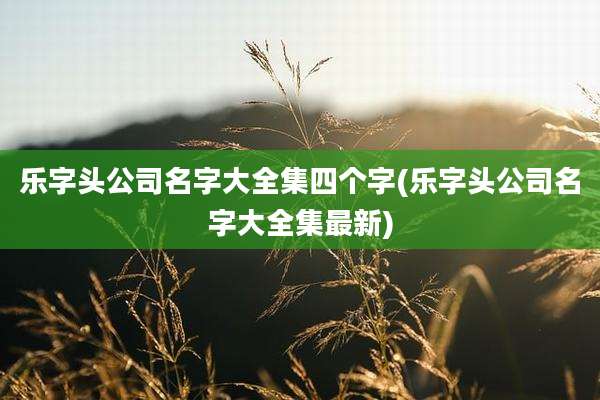 乐字头公司名字大全集四个字(乐字头公司名字大全集最新)